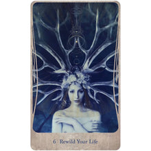 Load image into Gallery viewer, Divine Nature Oracle Deck