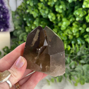 Smoky Quartz Cluster