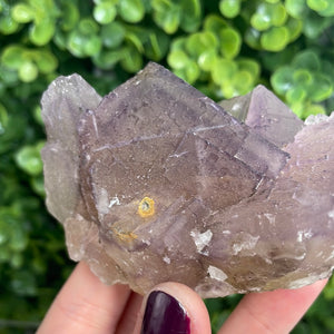 Purple Phantom Fluorite