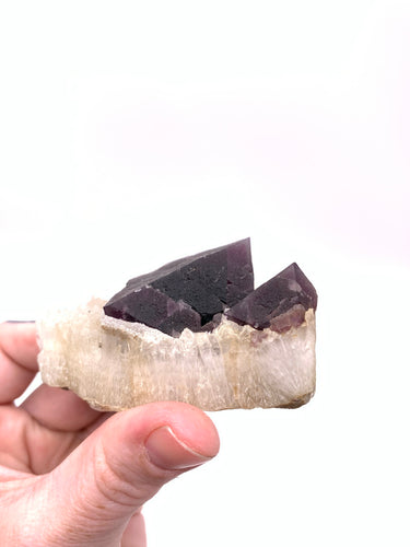 Fluorite in Matrix