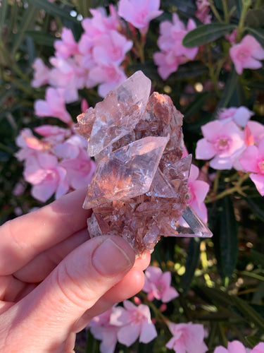 Naica Selenite- RARE