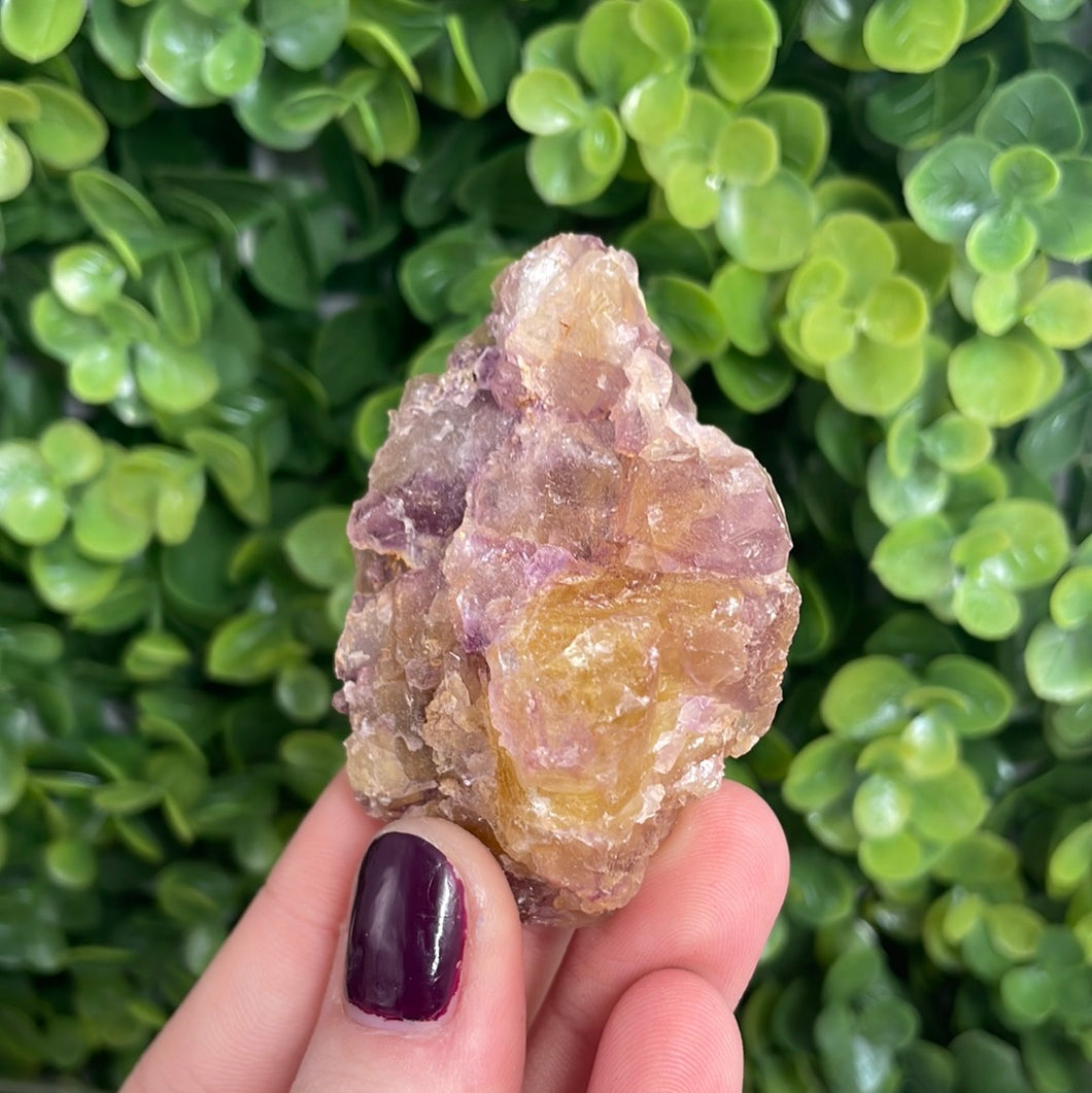 Yellow/Purple Fluorite