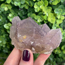 Load image into Gallery viewer, Purple Phantom Fluorite