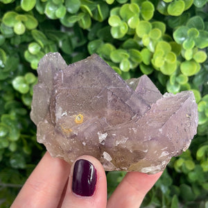 Purple Phantom Fluorite