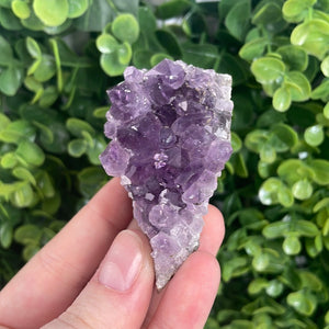 Amethyst Cluster