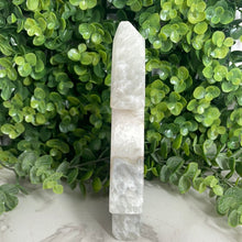 Load image into Gallery viewer, Druzy Agate With Quartz Tree Carving