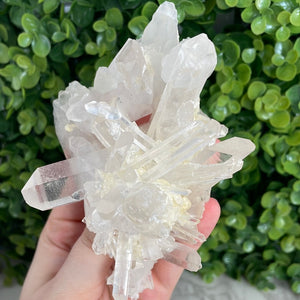 Clear Quartz Cluster