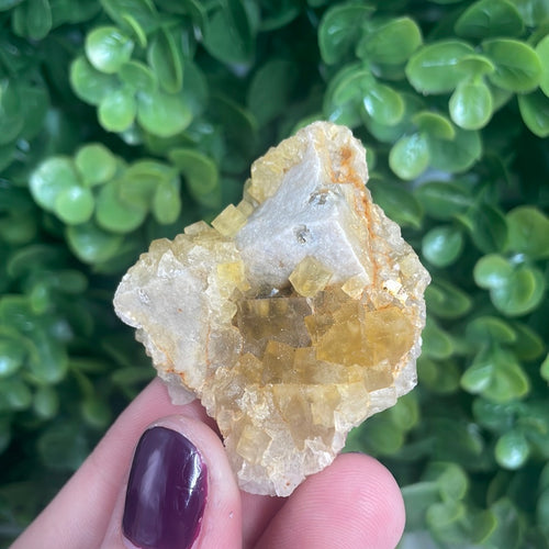 Cubic Yellow Fluorite