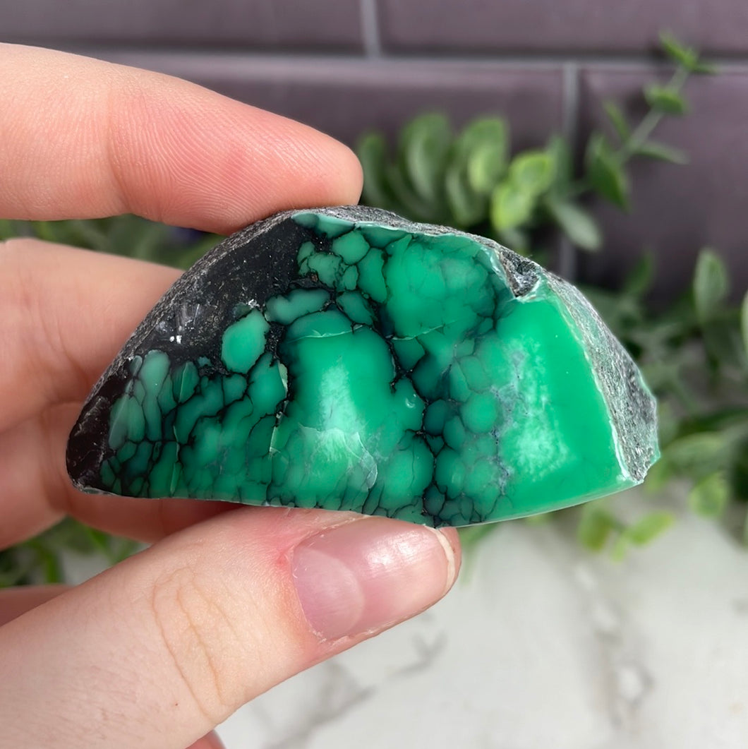 Variscite Half Polished Piece