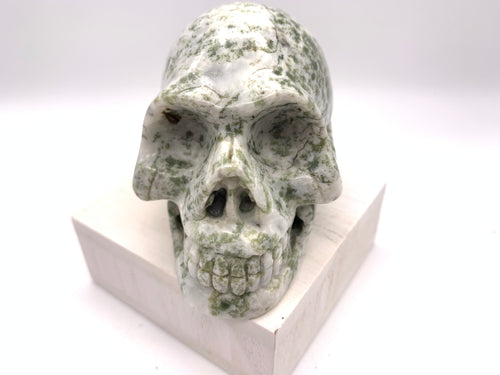 Tree Agate Skull Carving