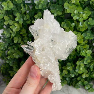 Clear Quartz Cluster