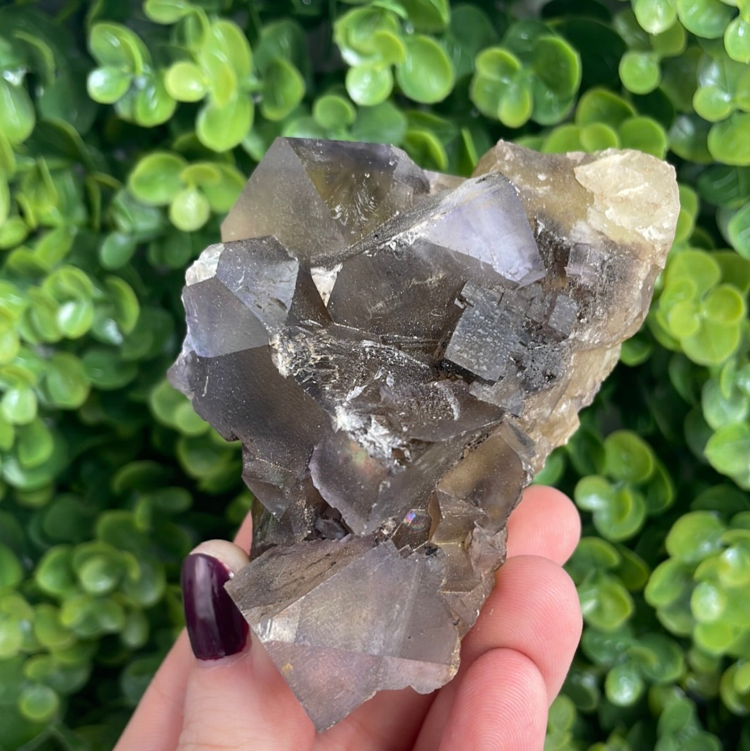 Multi colored store Fluorite