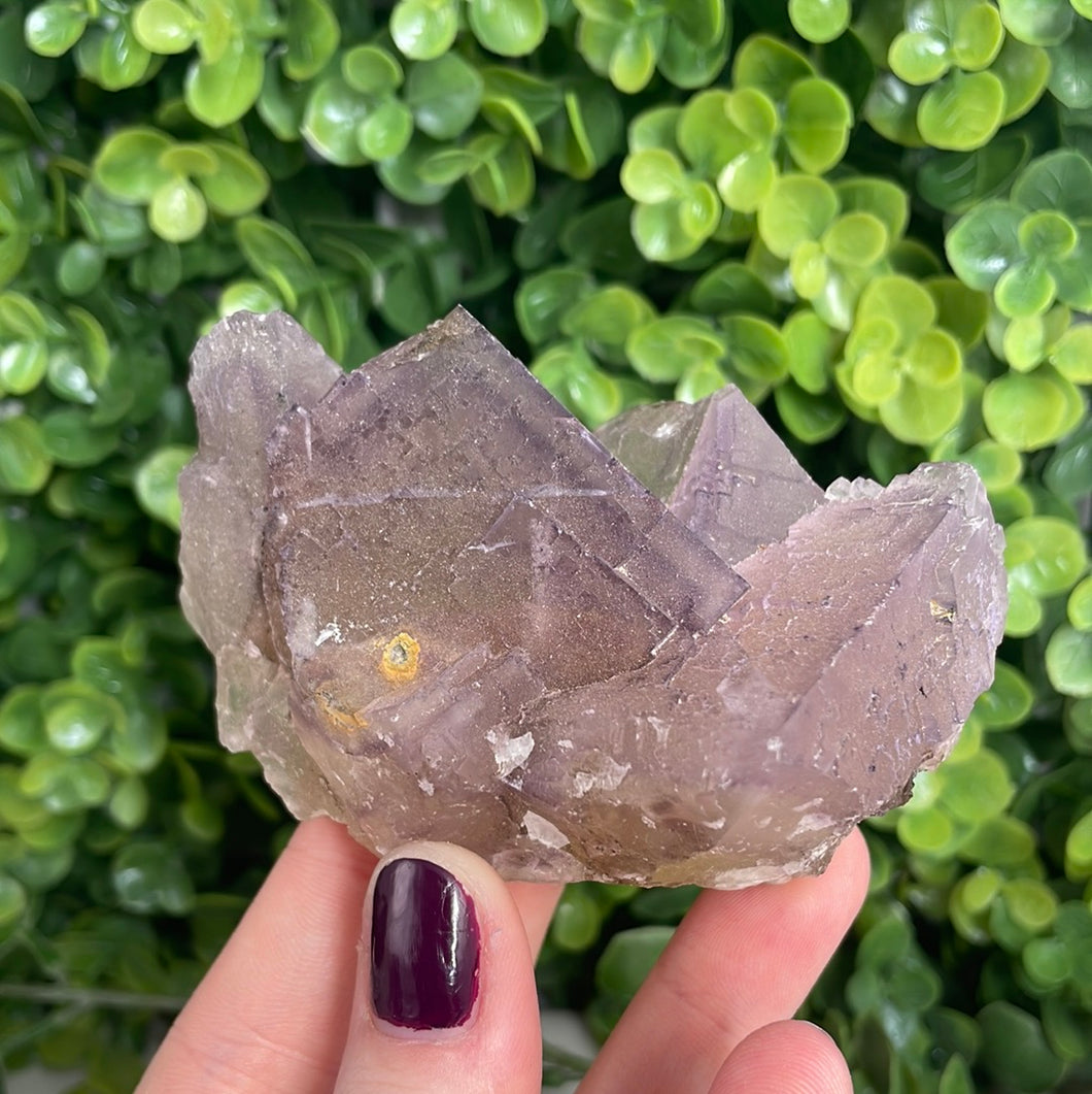 Purple Phantom Fluorite