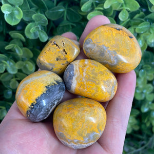 Tumbled Bumblebee Jasper